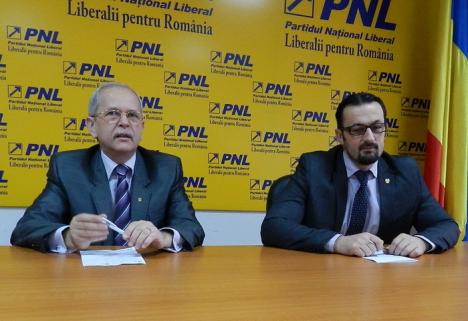 Senatorul Cristian Bodea: Parlamentul poate fi desfiinţat, iar Guvernul trebuie remaniat 